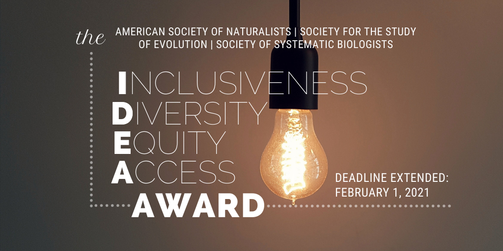 IDEA Award deadline February 1st